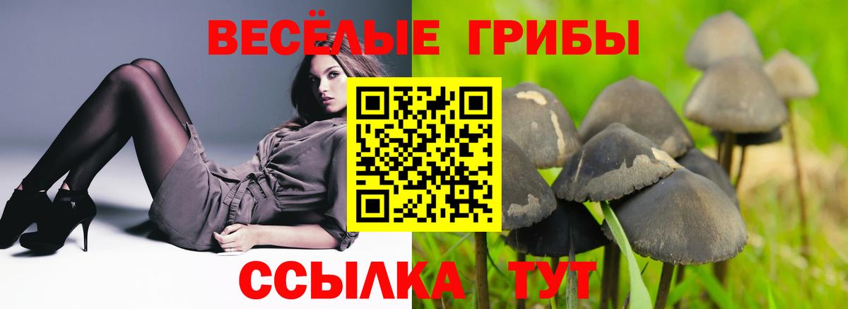 Лабинск  Псилоцибиновые грибы мухоморы  Вход с VPN 